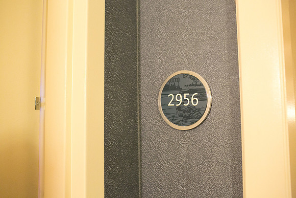 A02A6779